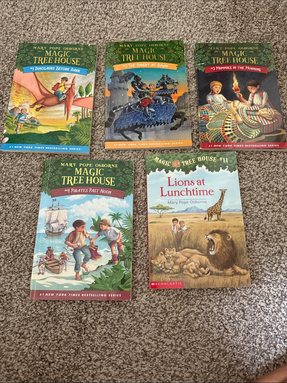 Scholastic Magic Tree House Book Set - Green, Blue, Red, Yellow Covers